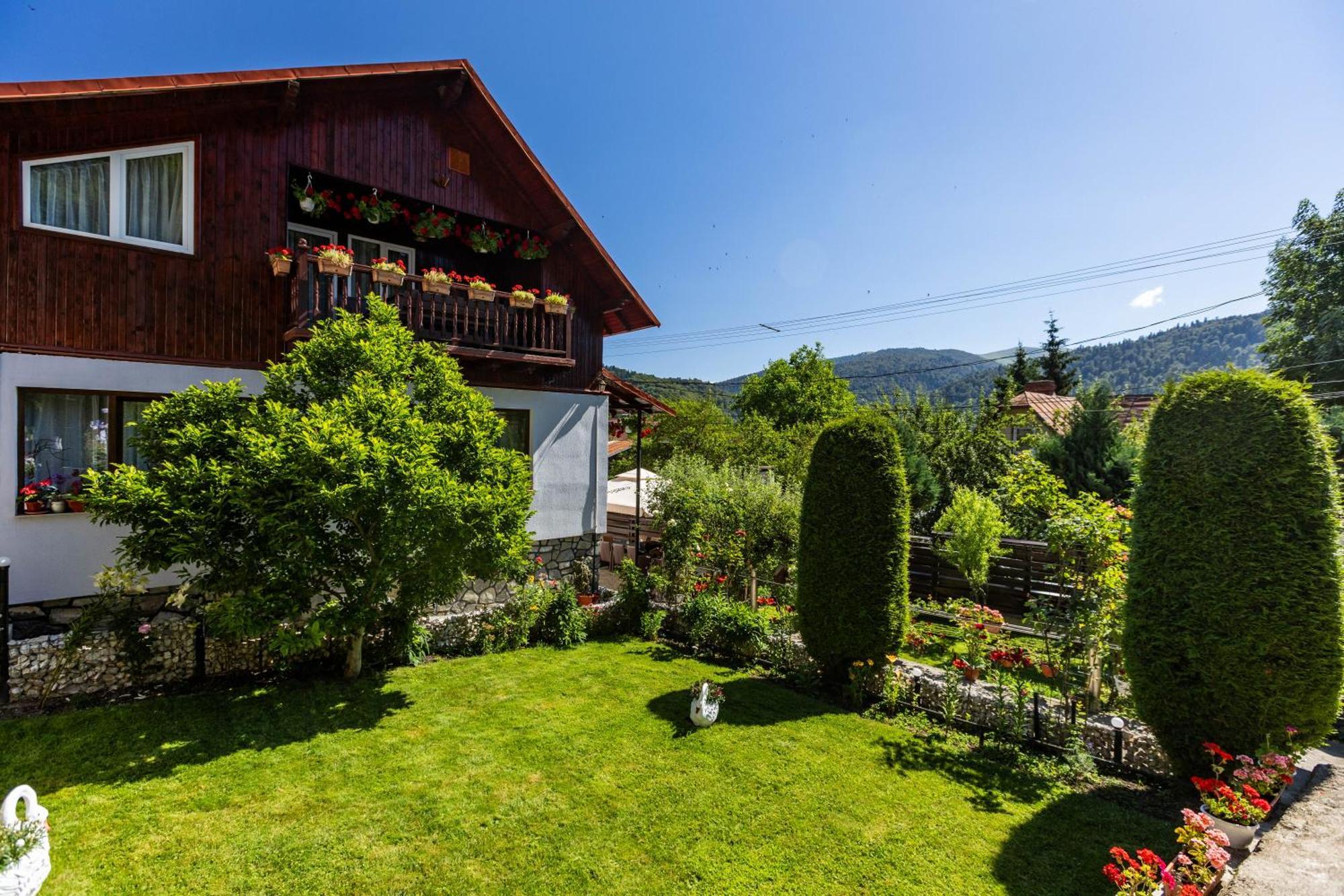 Villa Falco Bianco Buşteni Buitenkant foto